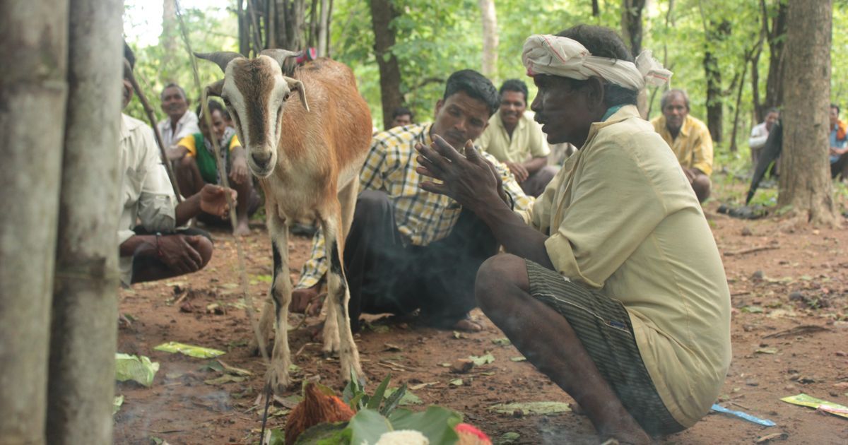Maharashtra Adivasis