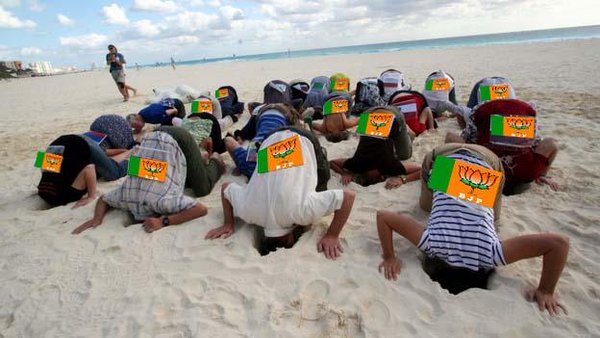 Modi Bhakt