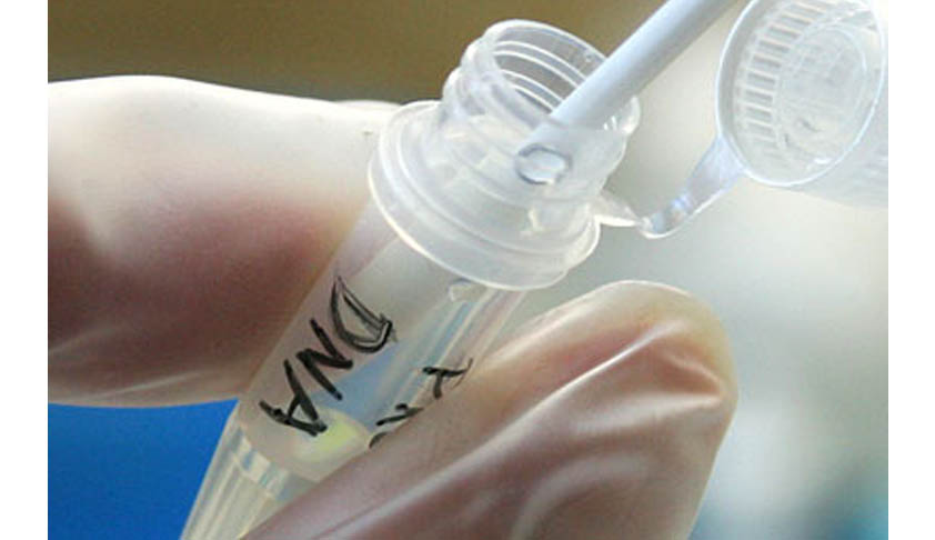 DNA Profiling