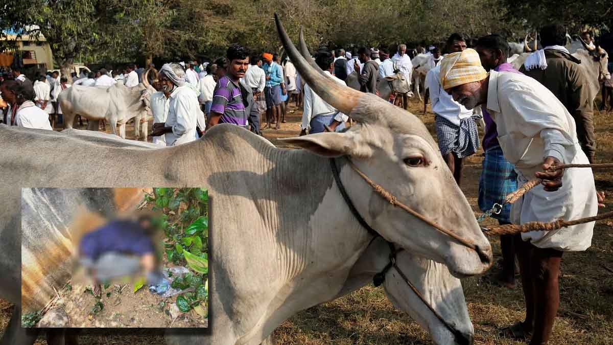 karnataka