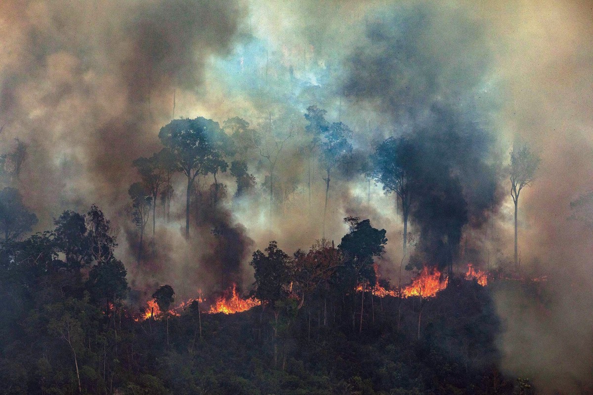 Our World Is Burning One Forest At A Time Forest Fires In Amazon Chiquitano Continue As Hostile Governments Look Away Sabrangindia