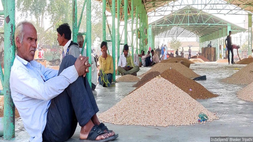 MP Farmers