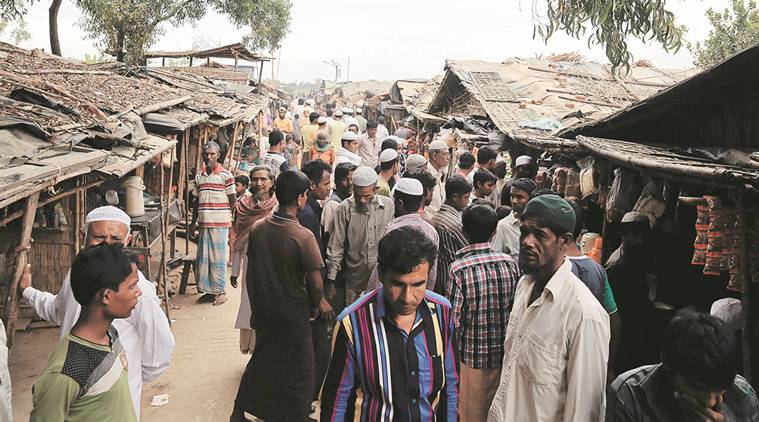 rohingya