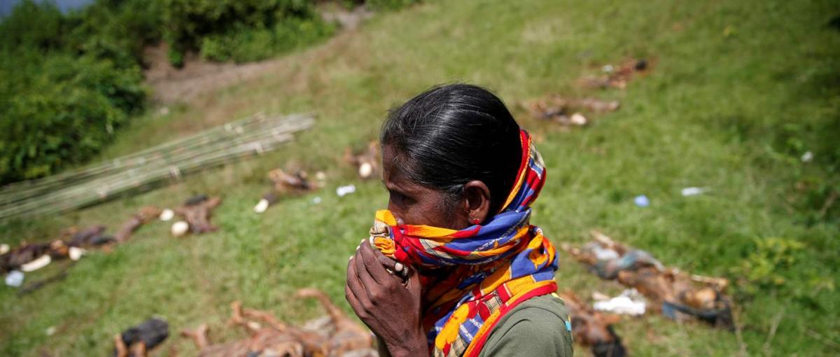 Rohingyas