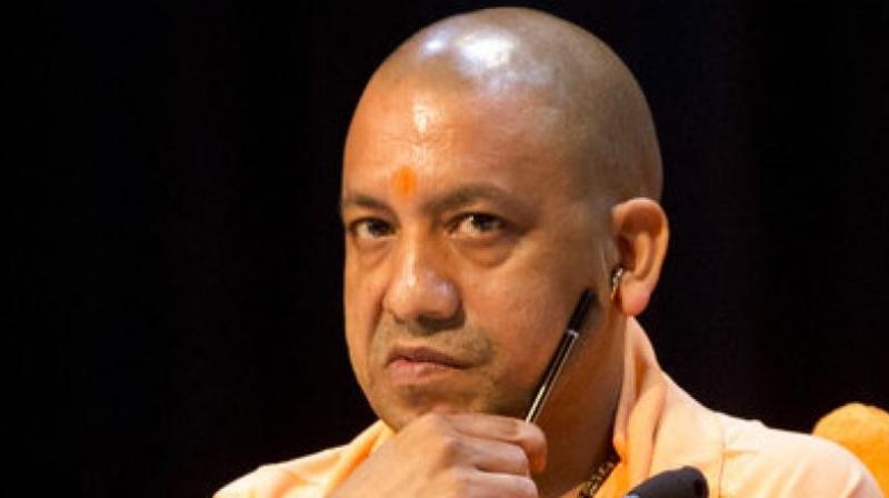 Yogi